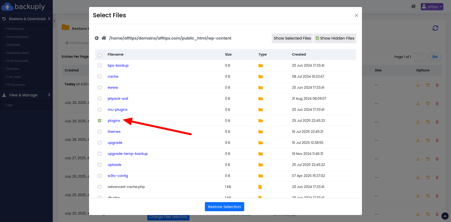 Return a deeper folder or file with Backuply