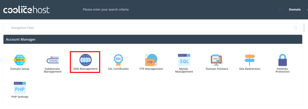 DNS Management