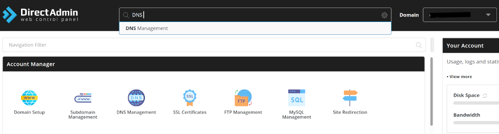 DNS Management option