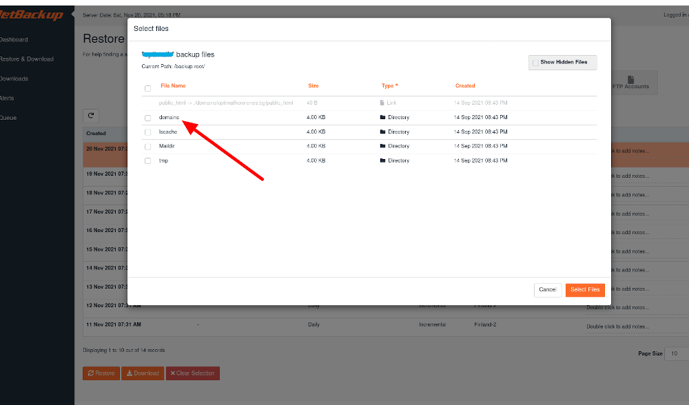 Domains Jetbackup